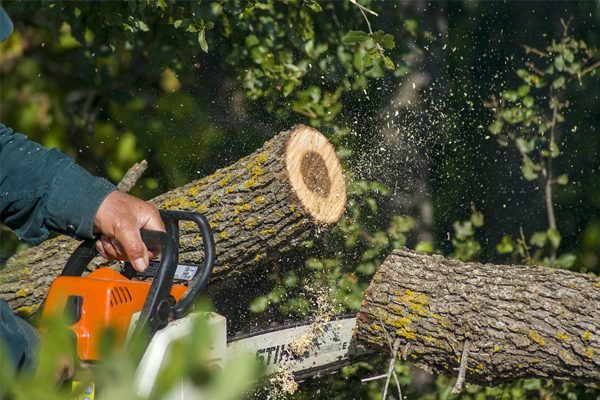 Starting A Chainsaw