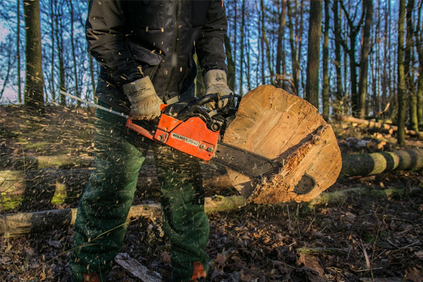 Best size chainsaw for home deals use